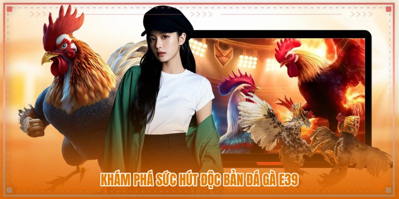 Khám phá sức hút độc bản Đá gà E39 Khám phá sức hút độc bản Đá gà E39